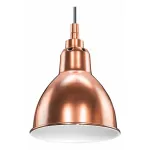 Подвесной светильник Lightstar Loft 765013 