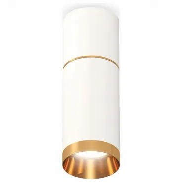 Накладной светильник Ambrella Techno Spot 248 XS6322062 Цвет плафонов золото