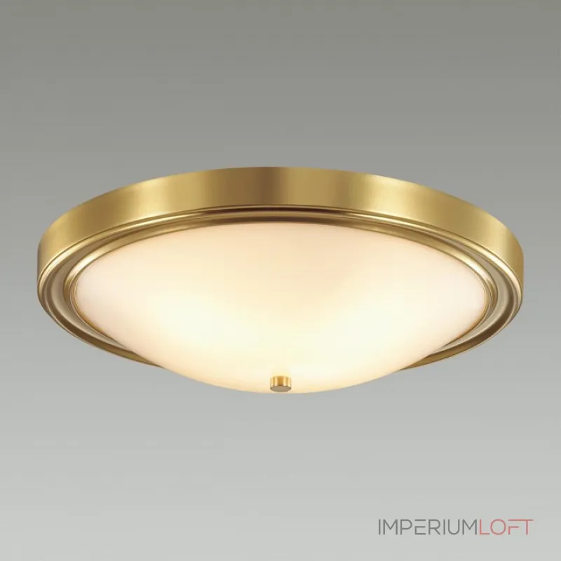 Накладной светильник Lumion Nina 5259/4C
