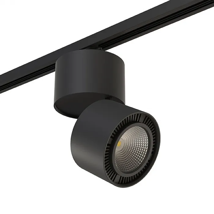 Светильник на штанге Lightstar Rullo A1T214857 Цвет плафонов черный Цвет арматуры черный от ImperiumLoft