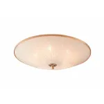 Накладной светильник Citilux CL912 CL912521 Цвет арматуры золото от ImperiumLoft
