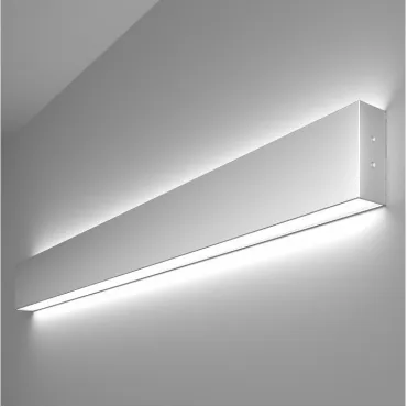 Накладной светильник Elektrostandard 101-100-40-78 a041479 Цвет арматуры серебро Цвет плафонов белый