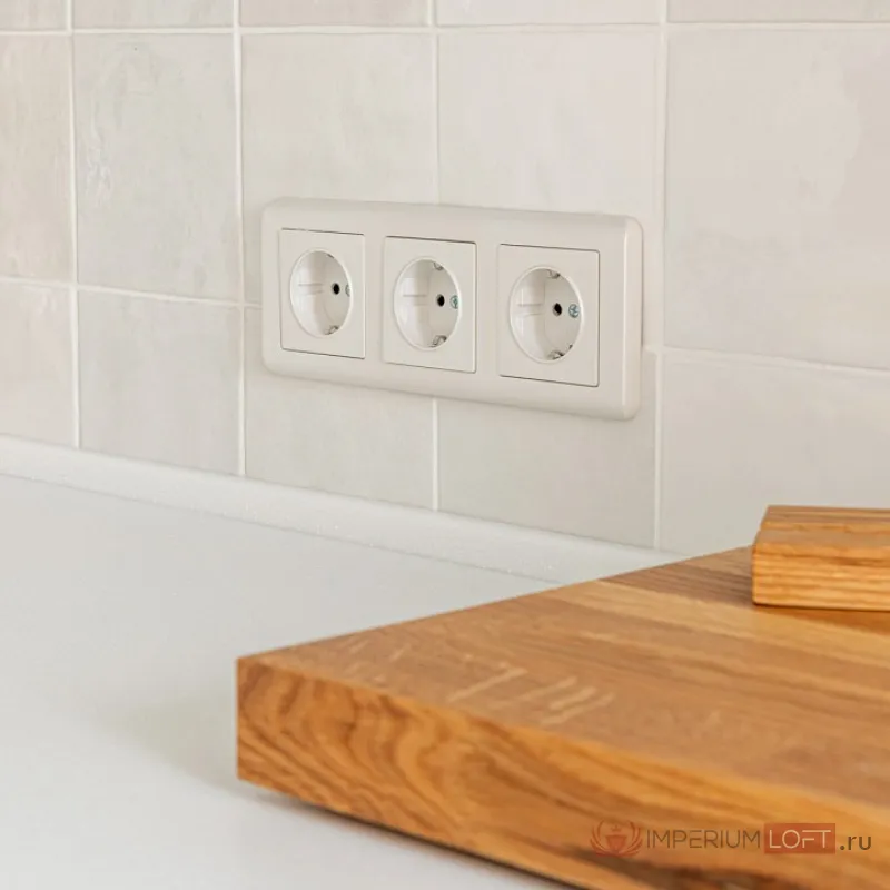 Розетка с заземлением без рамки Werkel W117 5 W1171013 от ImperiumLoft