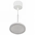 Подвесной светильник Denkirs DK402 DK4022-WH 