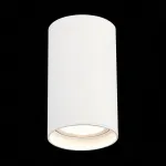 Накладной светильник ST-Luce ST157 ST157.542.20 от ImperiumLoft Накладной светильник ST-Luce ST157 ST157.542.20 от ImperiumLoft