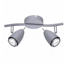 Спот Arte Lamp Regista A1966AP-2GY Цвет арматуры серый Цвет плафонов серый