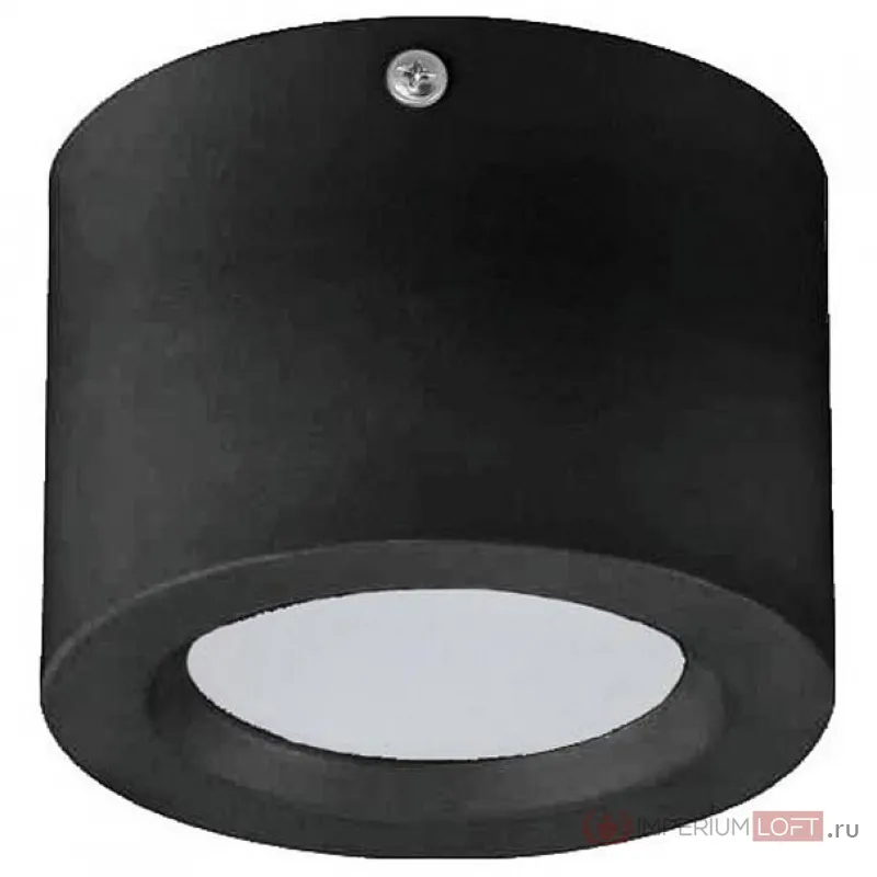 Накладной светильник Horoz Electric Sandra HRZ00002765 цвет арматуры черный цвет плафонов черный от ImperiumLoft