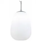 Подвесной светильник ST-Luce Cesare SL1168.113.01 
