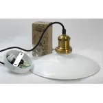 Подвесной светильник Lussole Glen Cove LSP-9605 