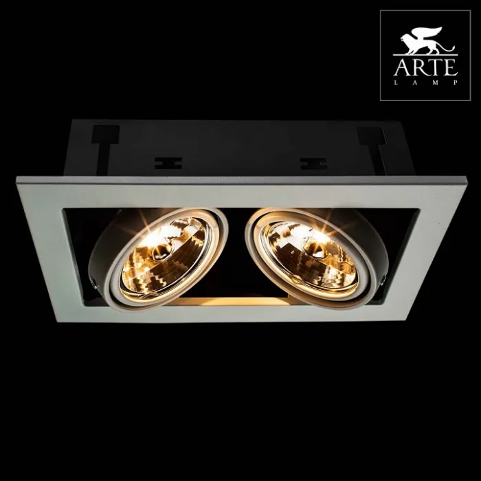 Встраиваемый светильник Arte Lamp Technika 2 A5930PL-2WH Цвет арматуры белый Цвет плафонов белый от ImperiumLoft