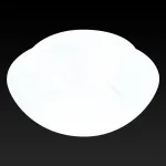 Накладной светильник TopLight Sandra TL9410Y-02WH Цвет арматуры белый Цвет плафонов белый