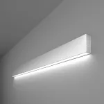 Накладной светильник Elektrostandard 101-100-30-103 a041482 Цвет арматуры серебро от ImperiumLoft
