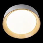 Накладной светильник Loft it Coin 10202 White от ImperiumLoft