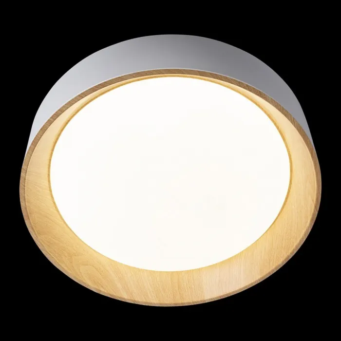 Накладной светильник Loft it Coin 10202 White от ImperiumLoft