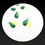Потолочный светильник TopLight Enilu TL9460Y-02OA 