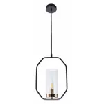 Подвесной светильник Arte Lamp Celaeno A7004SP-1BK 