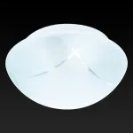 Накладной светильник TopLight Sandra TL9410Y-02WH Цвет арматуры белый Цвет плафонов белый
