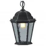 Подвесной светильник Arte Lamp Genova A1205SO-1BS Цвет арматуры серебро Цвет плафонов прозрачный от ImperiumLoft
