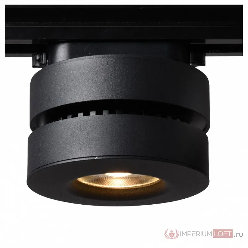 Накладной светильник Arte Lamp 2508 A2508PL-1BK Цвет арматуры черный Цвет плафонов черный от ImperiumLoft