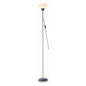 Торшер Ambrella Floor TR97615