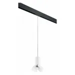 Подвесной светильник Lightstar Rullo PRORP436436