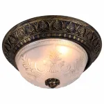 Потолочный светильник Arte Lamp Piatti A8005PL-2BN 