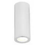 Светильник на штанге ST-Luce ST650 ST650.502.01