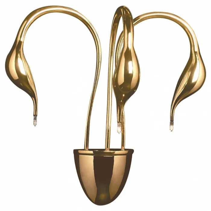 Бра Lightstar Cigno Collo 751632 Цвет арматуры золото от ImperiumLoft