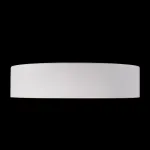 Накладной светильник Loft it Coin 10202 White от ImperiumLoft