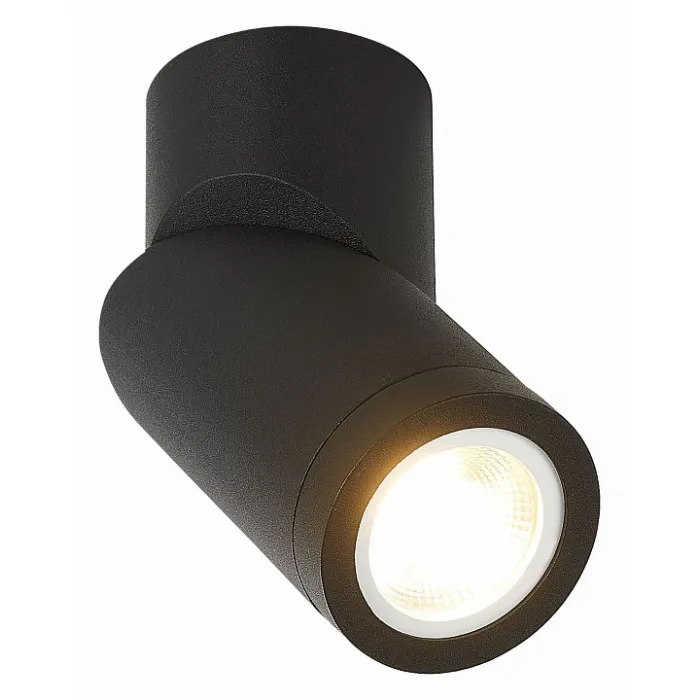 Светильник на штанге ST-Luce ST650 ST650.402.01 от ImperiumLoft
