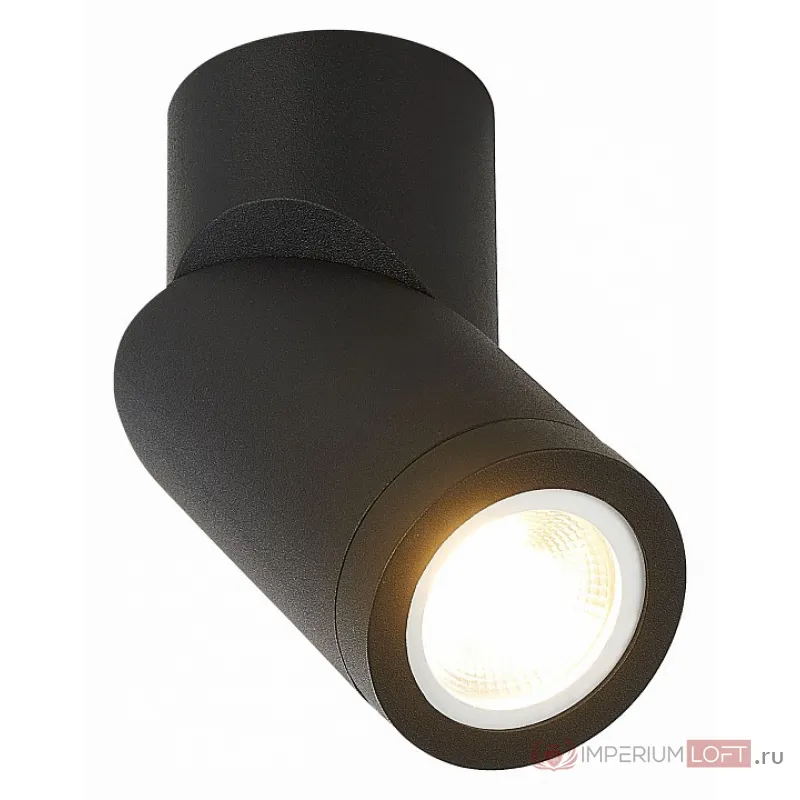Светильник на штанге ST-Luce ST650 ST650.402.01 от ImperiumLoft
