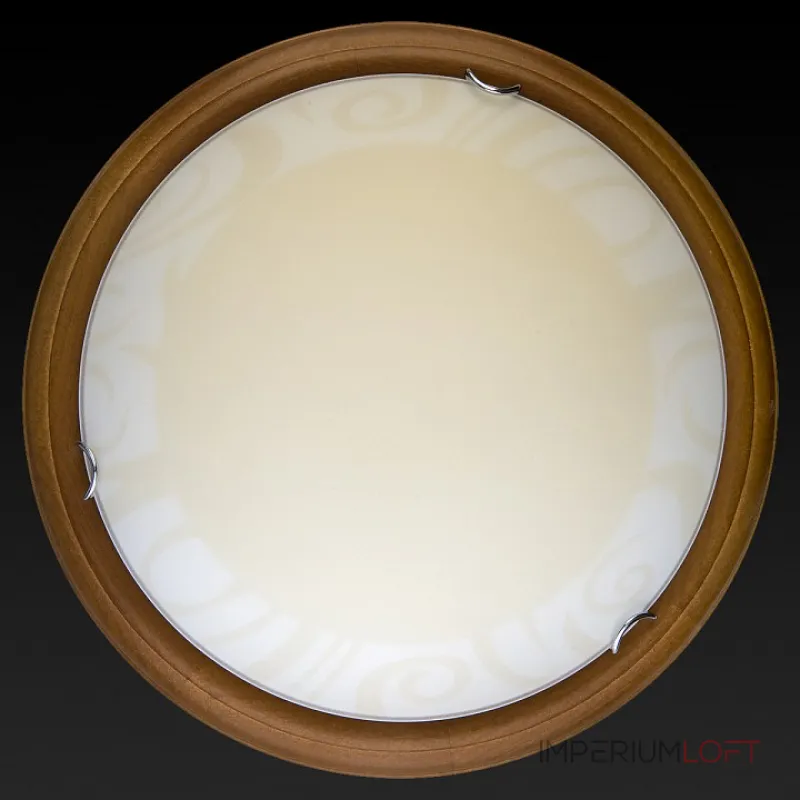 Потолочный светильник TopLight Ginger TL9620Y-00OA Потолочный светильник TopLight Ginger TL9620Y-00OA