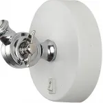 Бра Arte Lamp 2055 A2055AP-1WH Цвет арматуры белый Цвет плафонов белый от ImperiumLoft