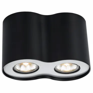 Накладной светильник Arte Lamp Falcon A5633PL-2BK Цвет арматуры черный Цвет плафонов прозрачный