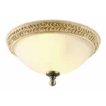 Потолочный светильник Arte Lamp Ivory A9070PL-2AB