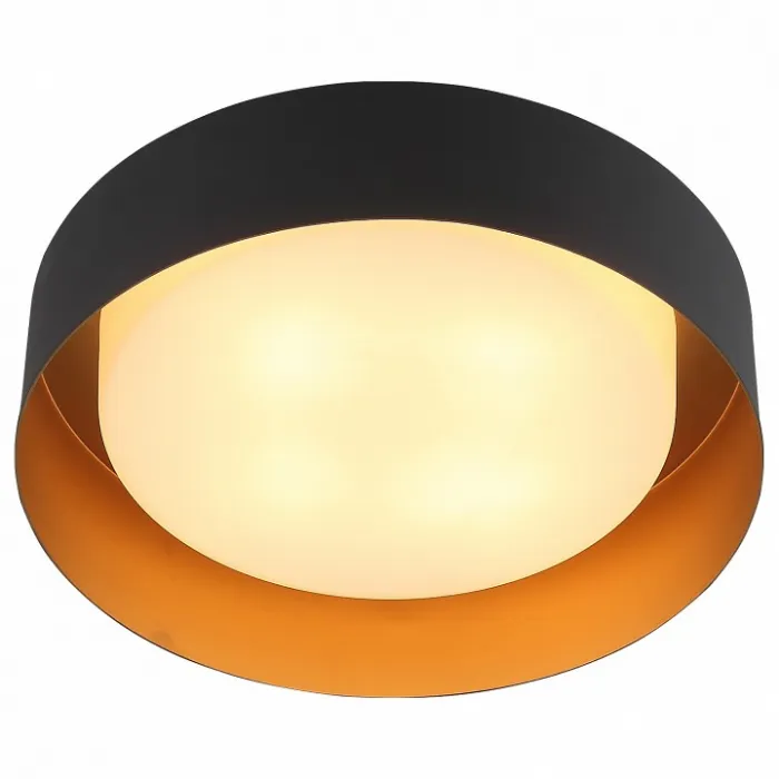 Накладной светильник ST-Luce Chio SL392.422.04 от ImperiumLoft
