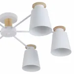Люстра на штанге Hiper Kim H170-6 