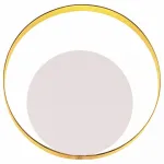 Накладной светильник Odeon Light Mondi 3899/7WW Цвет арматуры золото Цвет плафонов белый