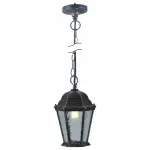 Подвесной светильник Arte Lamp Genova A1205SO-1BS Цвет арматуры серебро Цвет плафонов прозрачный от ImperiumLoft