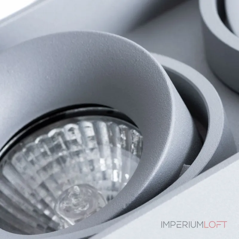 Накладной светильник Arte Lamp Pictor A5654PL-2GY от ImperiumLoft Накладной светильник Arte Lamp Pictor A5654PL-2GY от ImperiumLoft