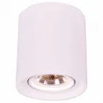 Накладной светильник Arte Lamp Tubo A9262PL-1WH Цвет арматуры белый Цвет плафонов белый