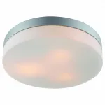 Потолочный светильник Arte Lamp Aqua A3211PL-3SI 