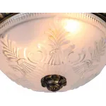 Потолочный светильник Arte Lamp Piatti A8005PL-2BN 