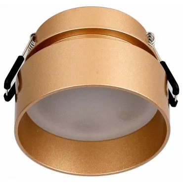 Встраиваемый светильник Favourite Inserta 2885-1C Цвет арматуры золото