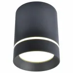 Накладной светильник Arte Lamp 1909 A1909PL-1BK Цвет арматуры черный Цвет плафонов черный