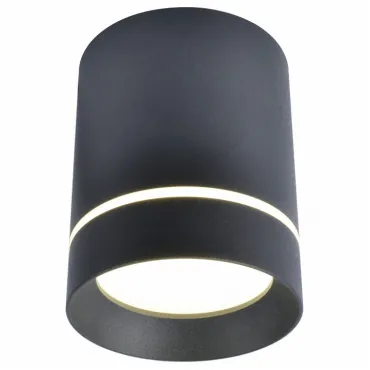 Накладной светильник Arte Lamp 1909 A1909PL-1BK Цвет арматуры черный Цвет плафонов черный