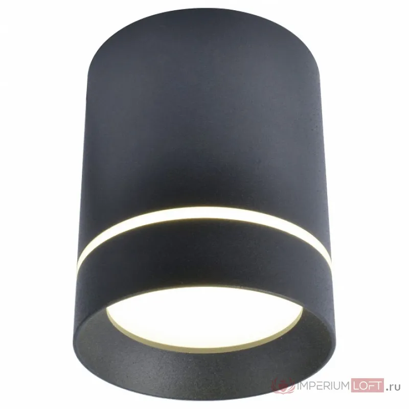 Накладной светильник Arte Lamp 1909 A1909PL-1BK Цвет арматуры черный Цвет плафонов черный от ImperiumLoft