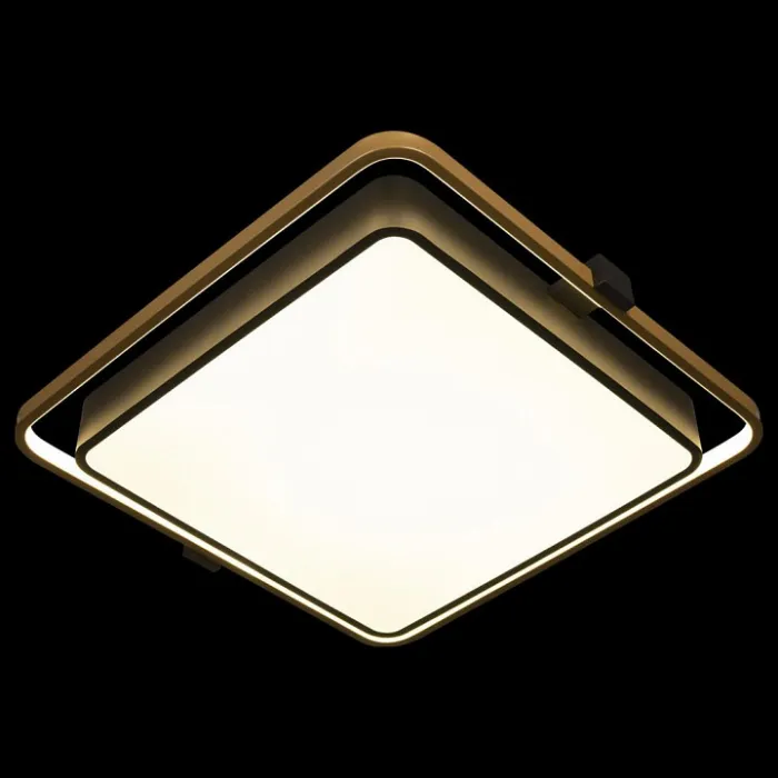 Накладной светильник Loft it Mike 10172 от ImperiumLoft