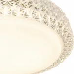 Потолочный светильник Arte Lamp Celeste A1569PL-1CL 