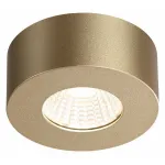 Накладной светильник Odeon Light Bene 4284/7CL Цвет арматуры золото Цвет плафонов золото